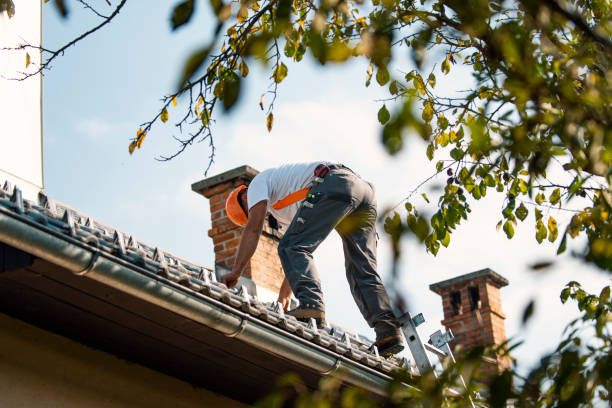 Best Best Roofing Contractors  in Pontotoc, MS